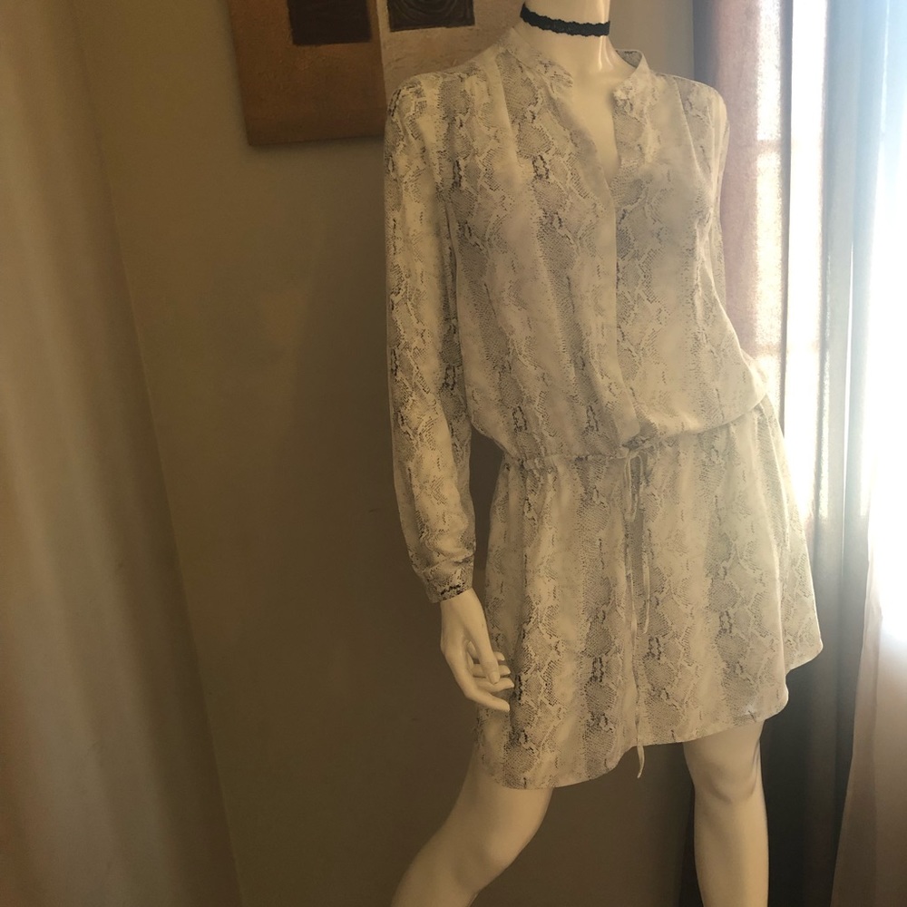 Light Colored snake skin dress(Hilary Radley)